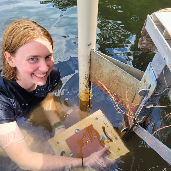 AmeriCorps Watershed Steward installs a nearshore monitoring tile.