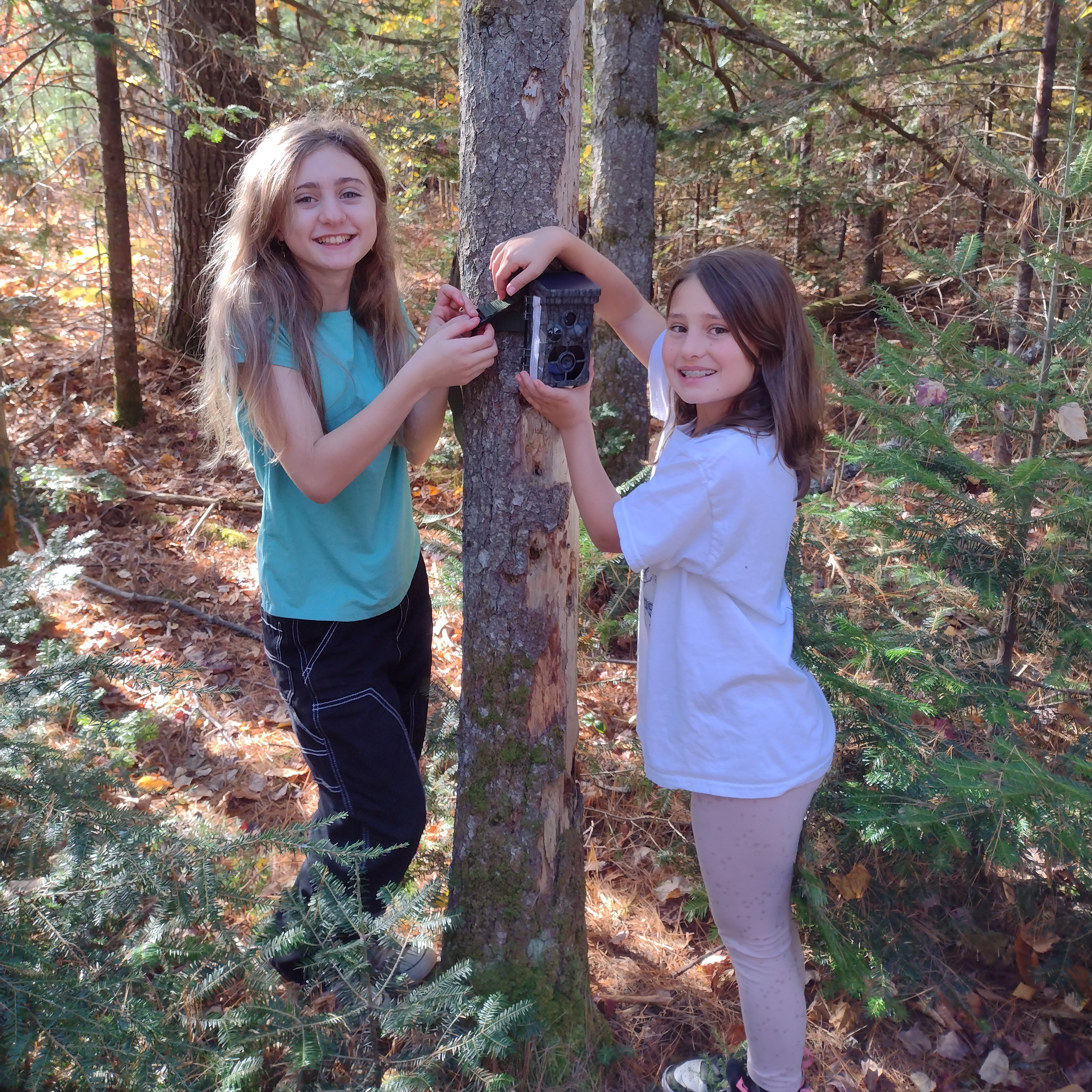Students hanging wildlife camera in forest.