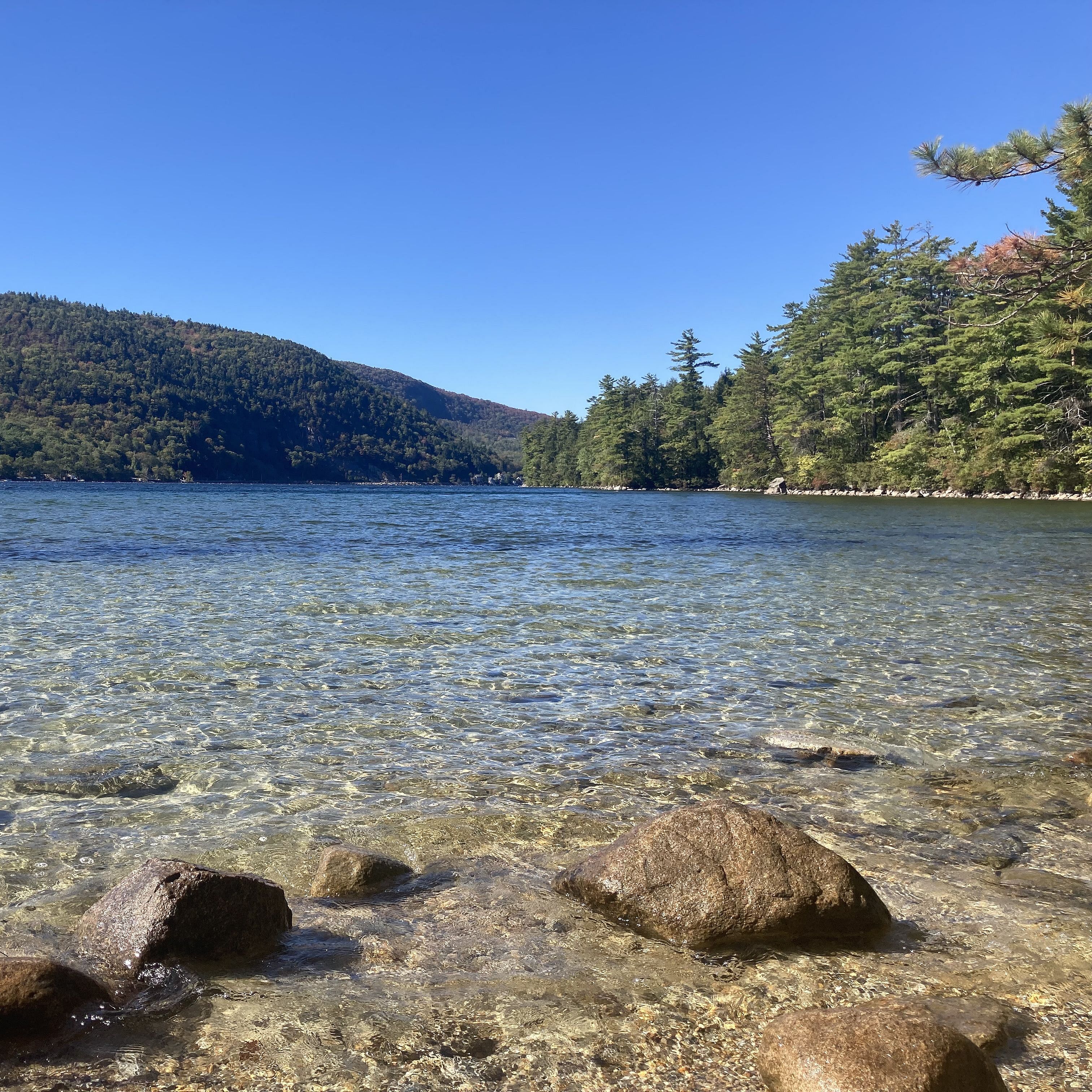 The State of the Lake