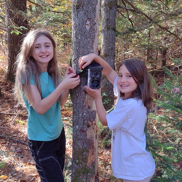 Students hang a camera in the forest.
