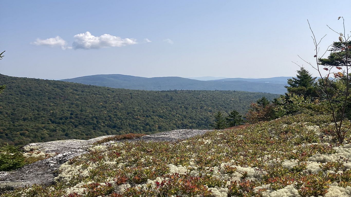 Mt Cosby Bald Knob Cockermouth Forest Fall