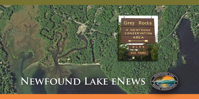 NLRA eNews Header 2c 1 NLRA eNews Header 2c 1