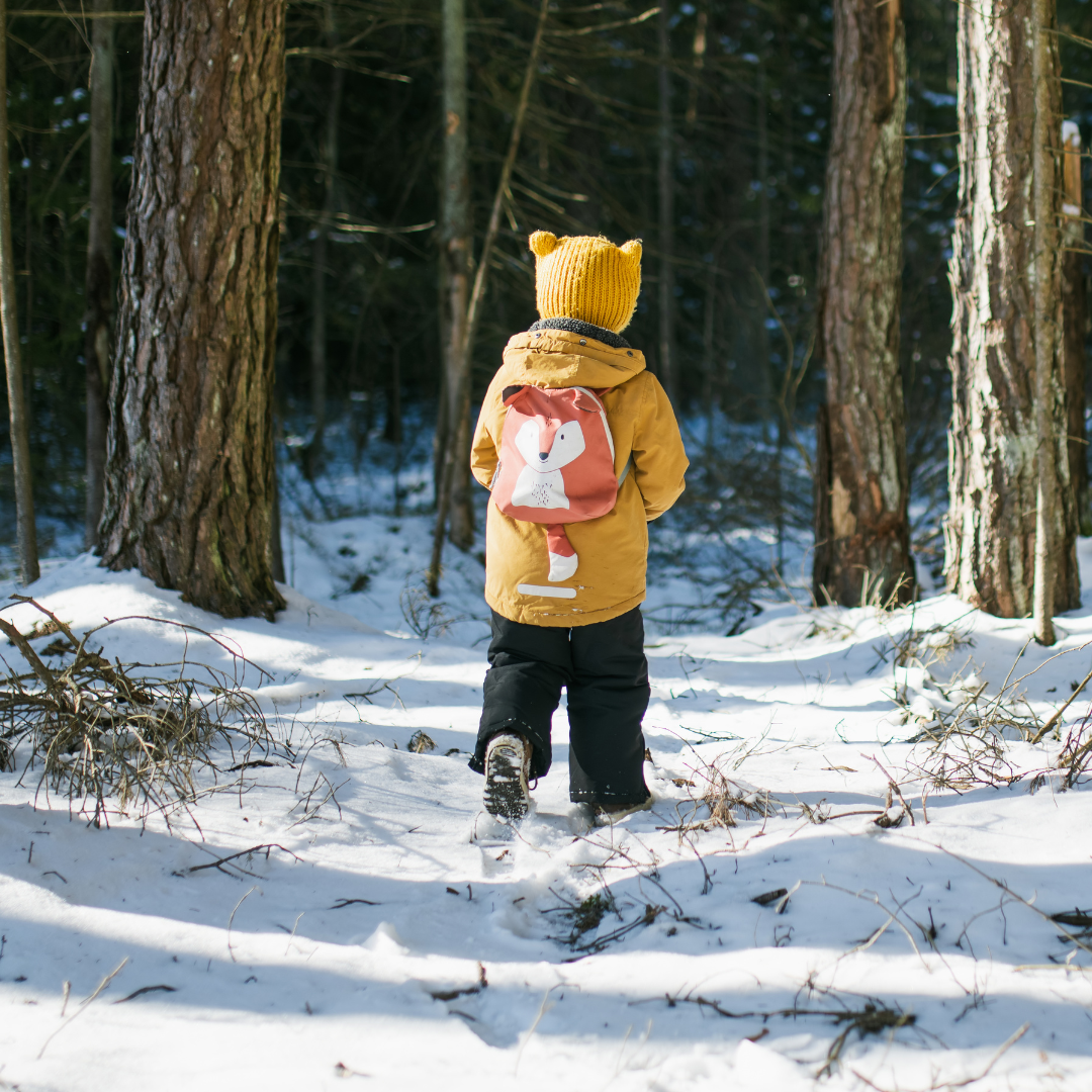 A child viewed from behind walking through snowy woods.
