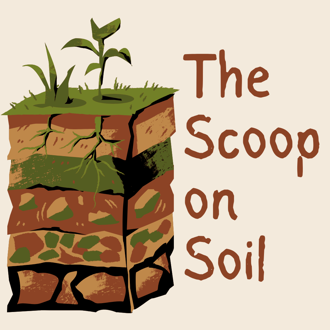 Field Trip for Grown Ups: The Scoop on Soil