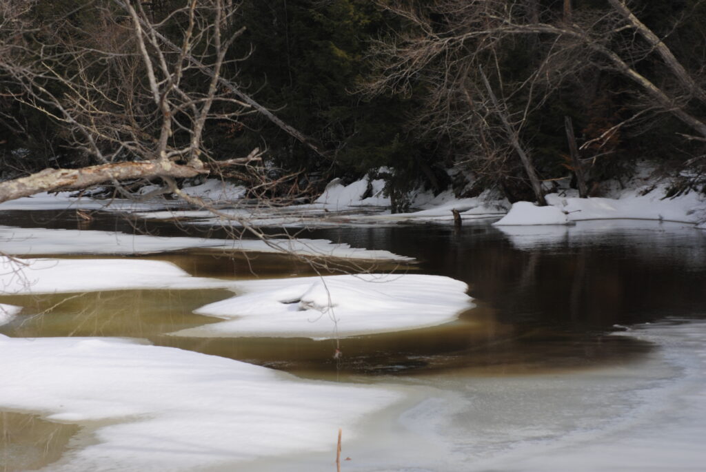 early spring ice melting on river