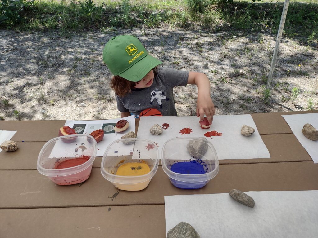 Nature Station pollen stamps