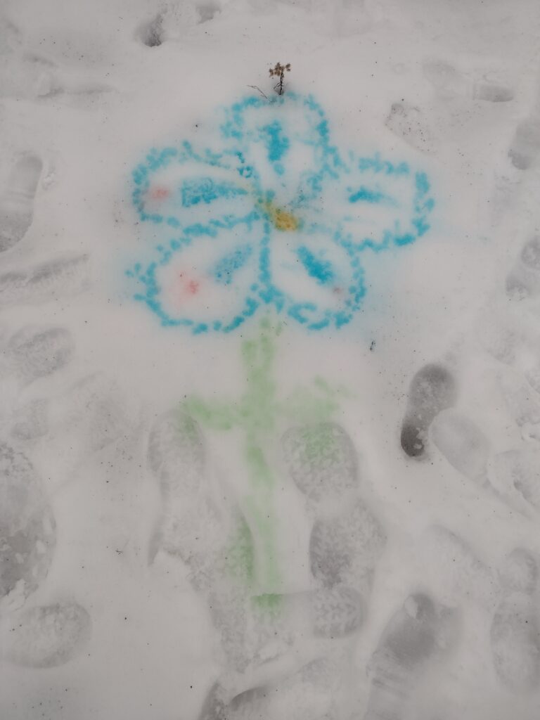 flower painted on snow