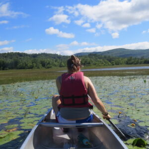 AmeriCorps Service member in canoe surveying for invasive aquatic species during the 2022 Newfound Lake Weed Stampede