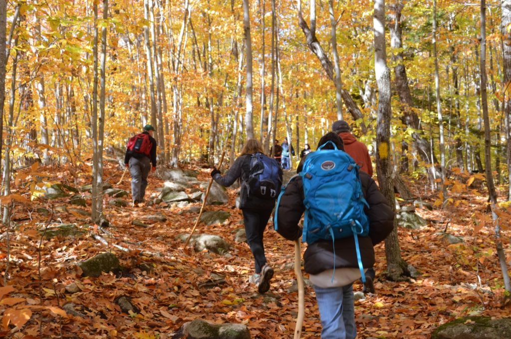 Sawyer Pond: A special place in the mountains, Hiking News