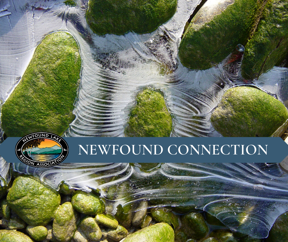 NEWFOUND CONNECTION 13