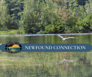 NEWFOUND CONNECTION 28