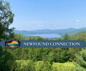 NEWFOUND CONNECTION 29