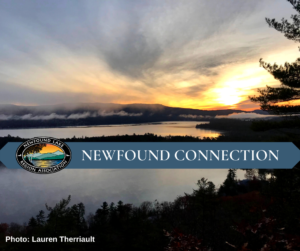 NEWFOUND CONNECTION 34