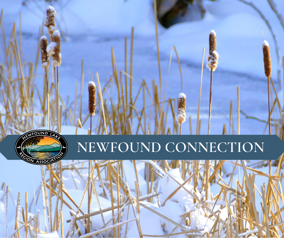 News From Newfound Fun Facts And Tips For Enjoying Winter In The 