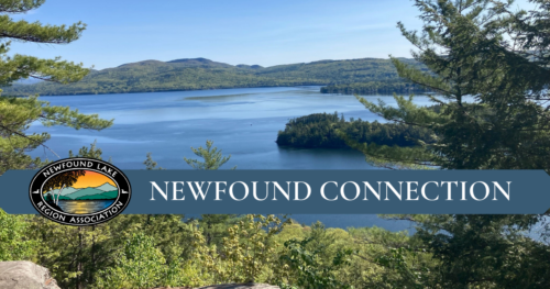 Home - Newfound Lake Region Association