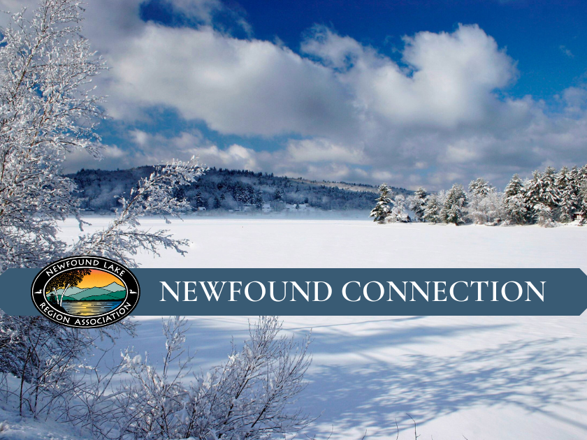 NEWFOUND CONNECTION web and sm header (840 x 630 px) (7)